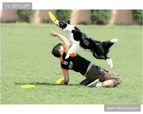 极限运动世界杯北京飞盘队状态分析与表现评估